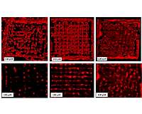 Integrating living cells into fine structures created in a 3D printer