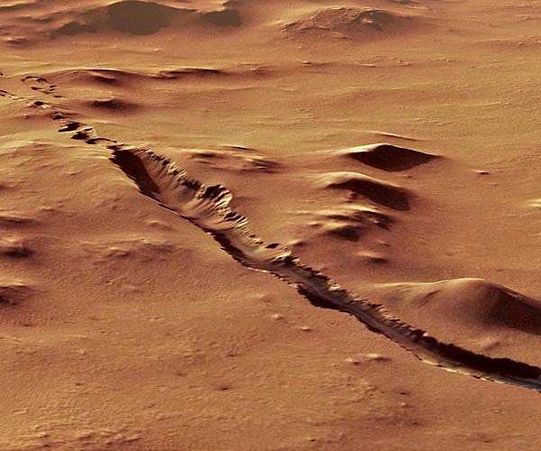Seismicity on Mars full of surprises, in first continuous year of data