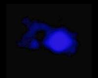 Storm rages in cosmic teacup