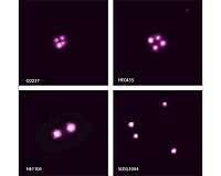 X-rays Spot Spinning Black Holes Across Cosmic Sea