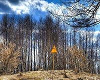 Chernobyl Forest Fires Highlight Urgent Need for New Sarcophagus
