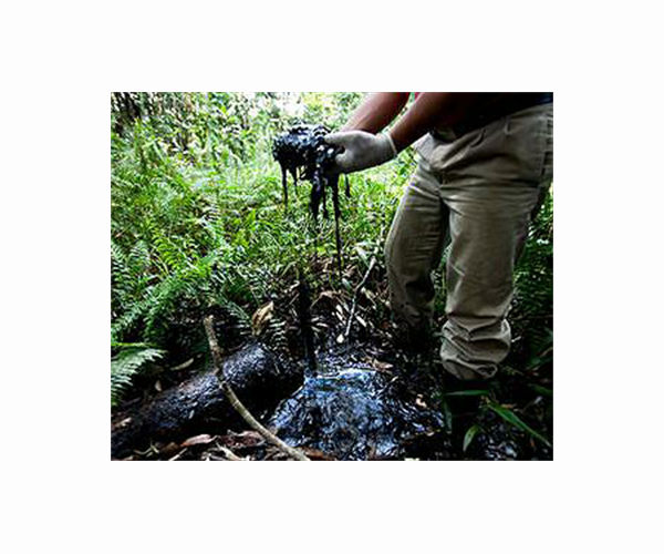 Environmentalists dismayed by Ecuador presidential candidates