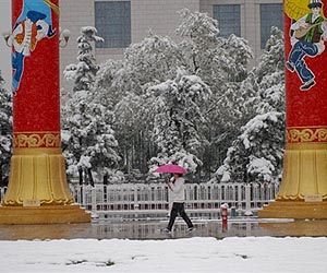 China's reality lost in translation, Davos told