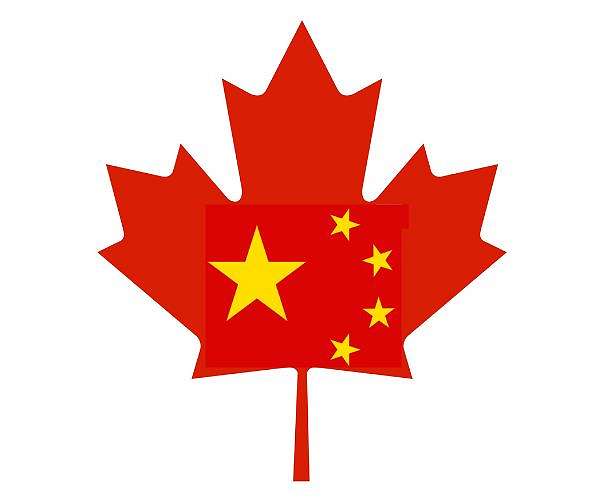 Hong Kong democracy activist Agnes Chow to stay in Canada