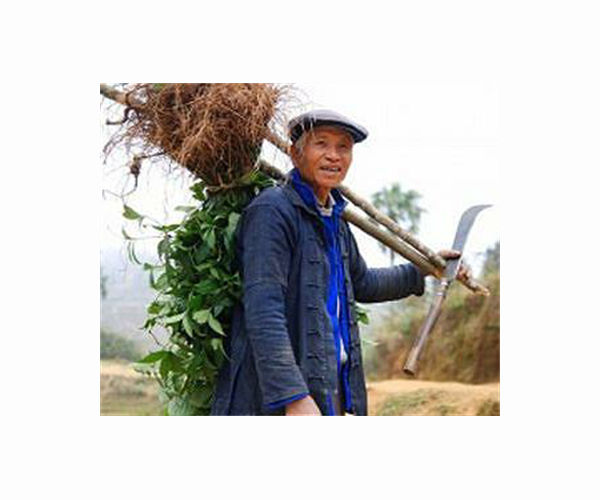 'Total mess' in China's rural east as Covid wave hits hard