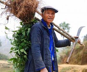 China's farmers await revolution in land reform