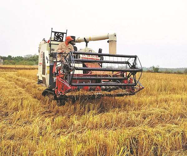Climate change is making rollercoaster harvests the new normal