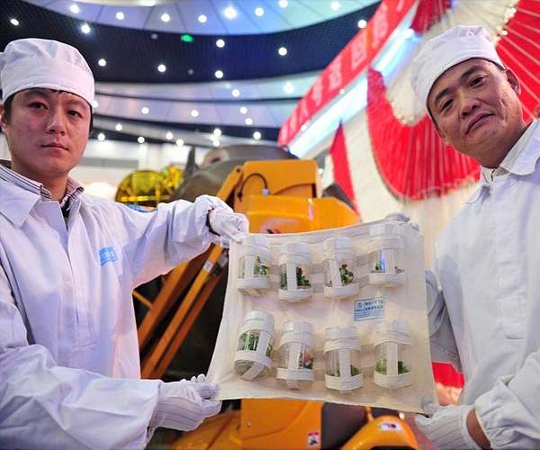 Harvest from heavenly breeding