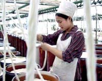 China mulls major stimulus package: economist