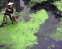 Chinese city's water supply cut after chemical spill: govt