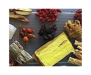 Pesticides tainting traditional China herbs: Greenpeace
