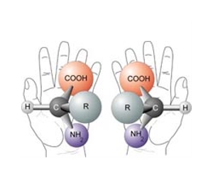 Meteorites May Answer Life's Chirality Question