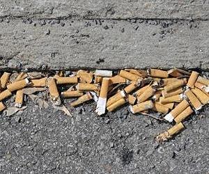 Mapping the destructive path from cigarette to emphysema