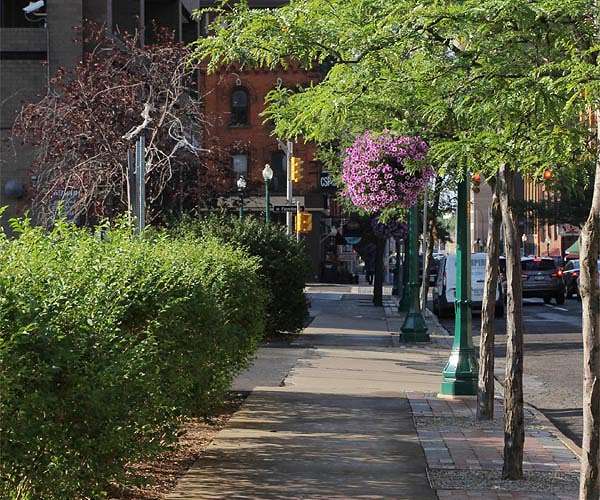 Planting more trees could decrease deaths from higher summer temperatures in cities by a third
