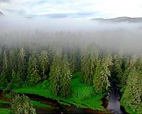 In Canada, parks thrive but conservationists cry foul