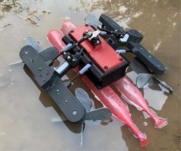 Cockroaches and lizards inspire new robot developed by Ben-Gurion University researcher