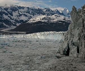 Hardy bacteria help make case for life in the extreme