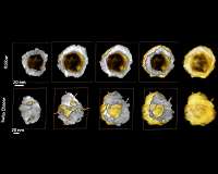 Scientists track chemical and structural evolution of catalytic nanoparticles in 3-D