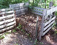 Compost Heap Bacteria Could Provide 10 Percent Of UK Transport Fuel Needs