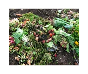 Enzymes From Garden Compost Could Favour Bioethanol Production