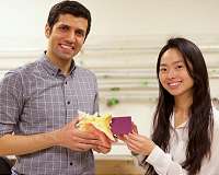 Conch shells may inspire better helmets, body armor