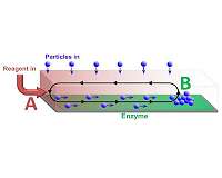 Developing a catalytic conveyor belt