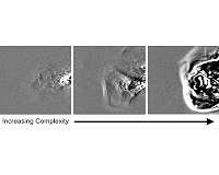 Citizen scientists discover cyclical pattern of complexity in solar storms