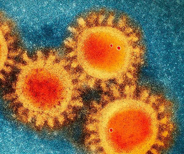 Original COVID-19 vaccine could attack boosters given too soon, Mixed results for latest Moderna mRNA flu trial