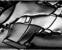 Novel technique reveals the intricate beauty of a cracked glass