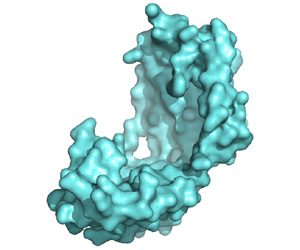 Quest For Designer Bacteria Uncovers A Spy