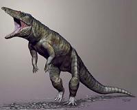 Crocodile ancestor was top predator before dinosaurs