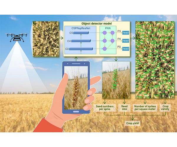 Conflicts of interest need to be avoided in publishing publicly available crop information