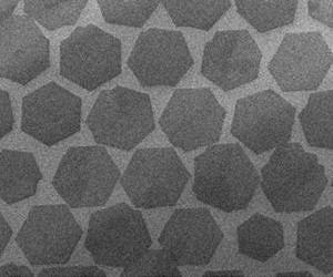 New electronics material closer to commercial reality