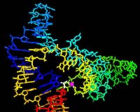 The Structure Of Origins