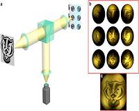Minuscule, flexible compound lenses magnify large fields of view