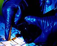 Sniffing Out Insider Threats