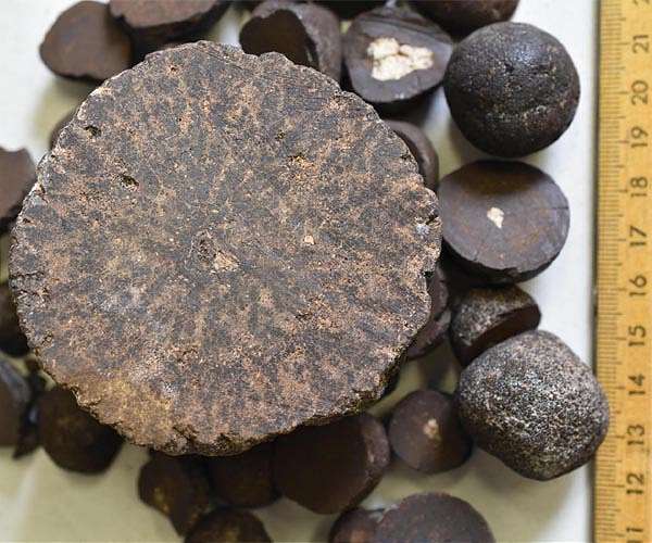 Mineral-rich nodules and the battle over mining the deep sea