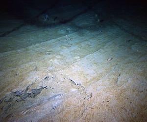 Oceanographers develop method for measuring the pace of life in deep sediments