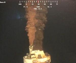 White House dismisses critical report on oil spill response