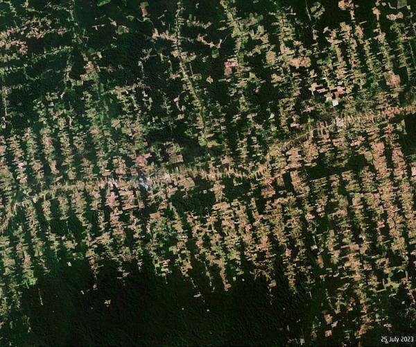 EU states approve one-year delay of deforestation rules