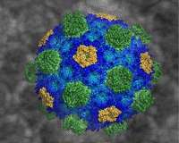 Humans are not the first to repurpose CRISPR