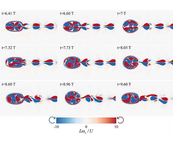 Squid jet propulsion can enhance design of underwater robots, vehicles