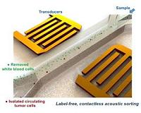 Device extracts rare tumor cells using sound