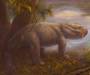 What Happened to Dinosaurs' Predecessors After Earth's Largest Extinction 252 Million Years Ago?