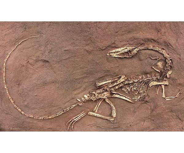 Mysteries of Earth's ancient mass extinction event revealed