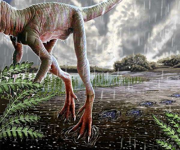 Drought uncovers dinosaur tracks in US park