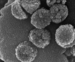 New Stanford Nanoscavengers Could Usher In Next Generation Water Purification