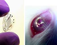 Contact Lenses With Circuits Lights A Possible Platform For Superhuman Vision