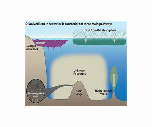 Large difference in role of iron between oceans near Greenland and Antarctica