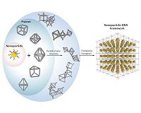 DNA shaping up to be ideal framework for rationally designed nanostructures